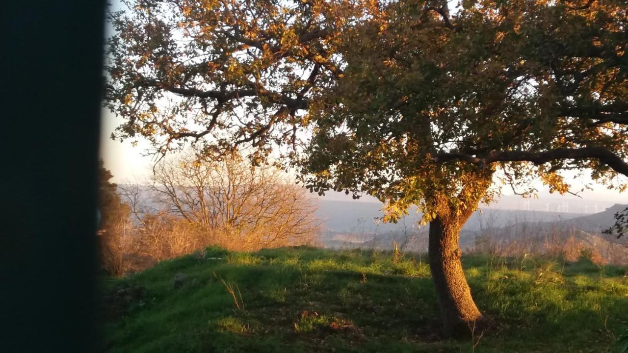Cheremule Su Montiju De Sa Falada Manna מראה חיצוני תמונה