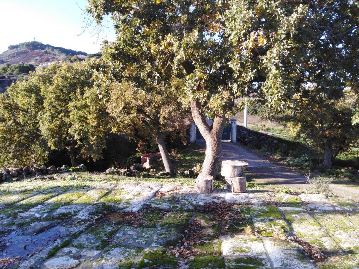Cheremule Su Montiju De Sa Falada Manna מראה חיצוני תמונה